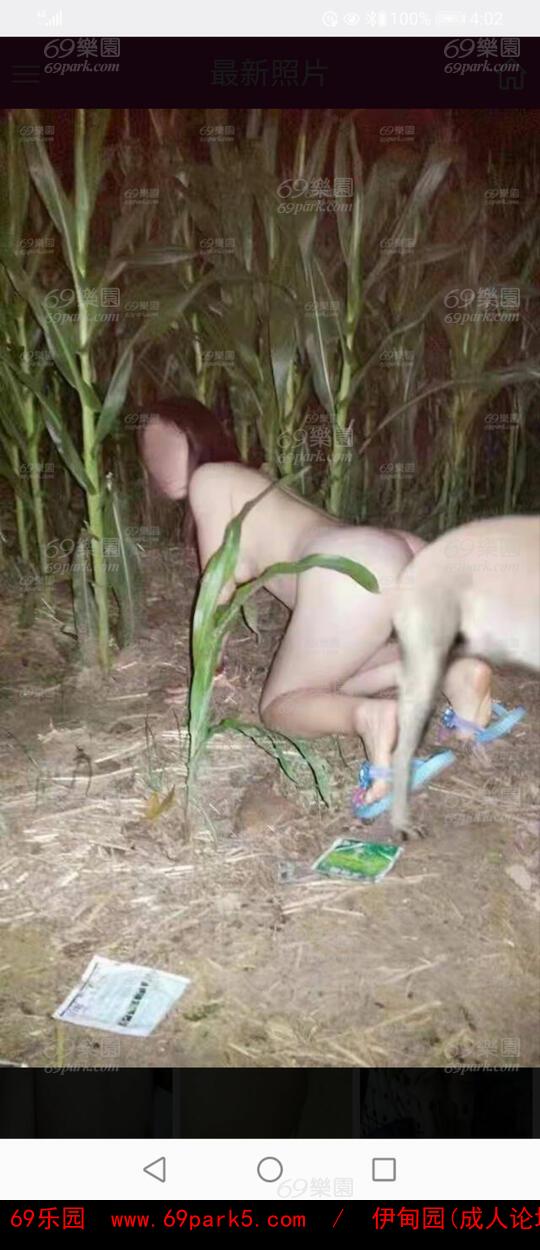 骚气的骚妻,老婆