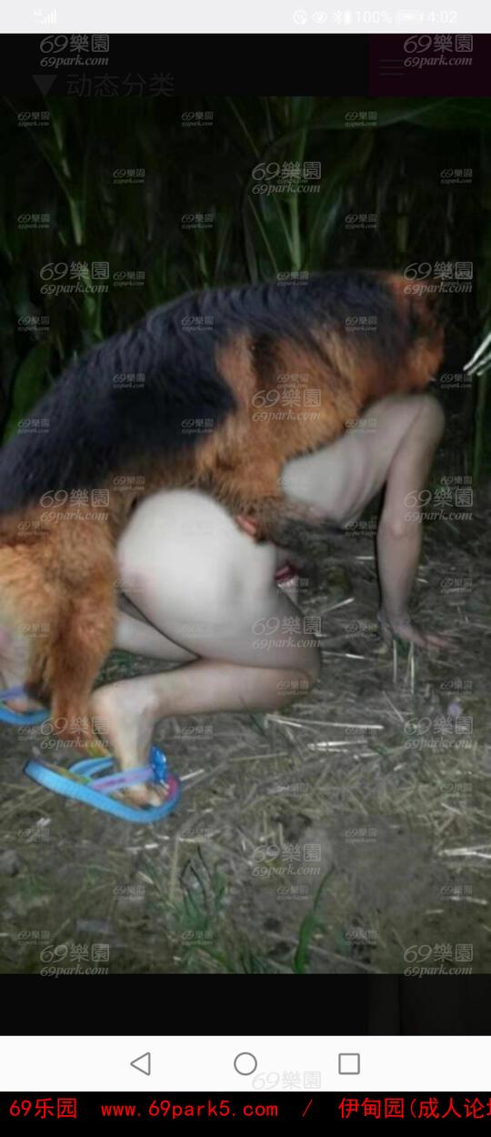 骚气的骚妻,老婆