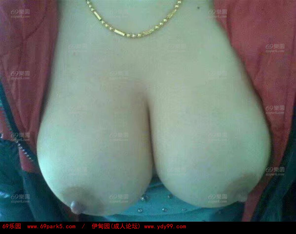 老婆和老公,老婆